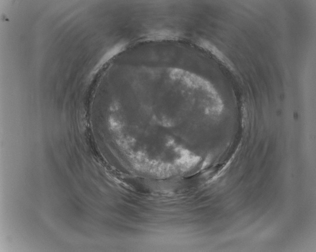 X0000071761213200607282139