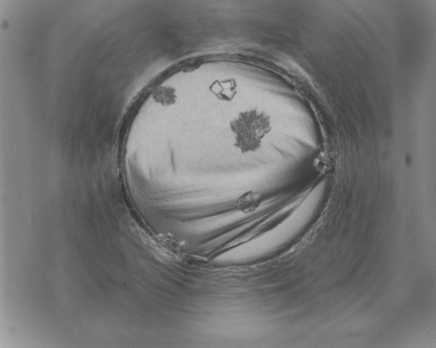 X0000071761216200607282139