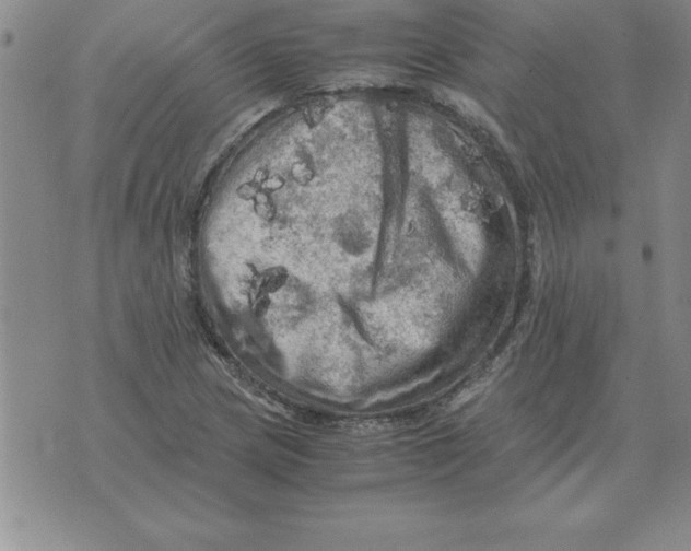 X0000071761217200607282139