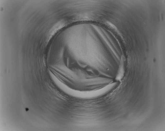 X0000071761218200607282139