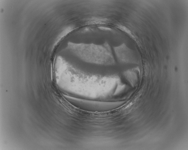 X0000071761219200607282139