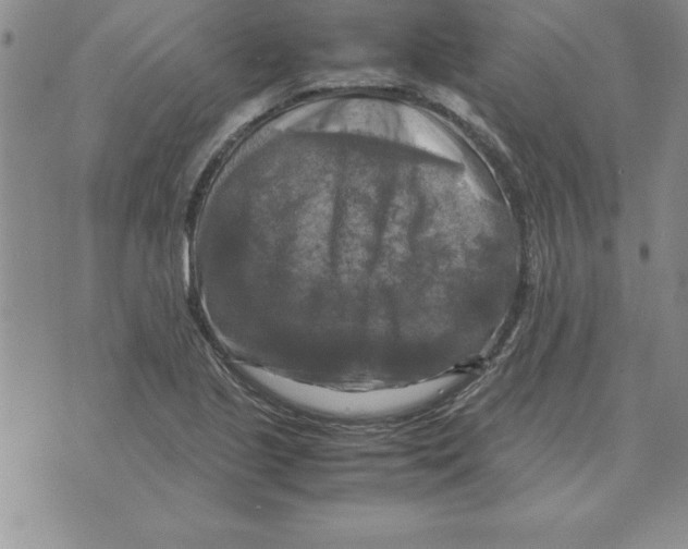 X0000071761221200607282139