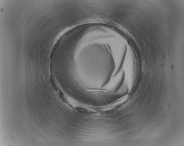 X0000071761222200607282139