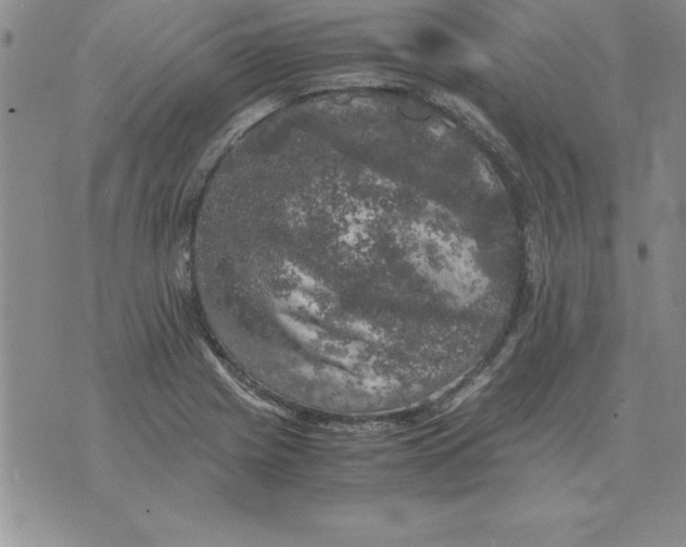 X0000071761225200607282139