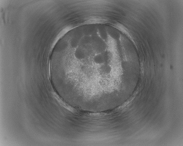 X0000071761227200607282139