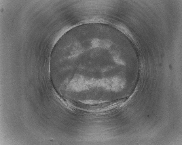 X0000071761228200607282139