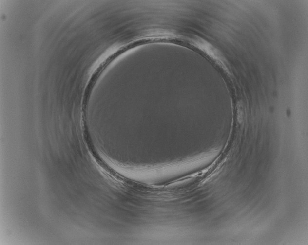 X0000071761229200607282139