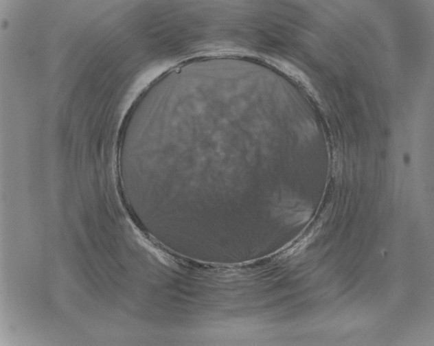 X0000071761231200607282140