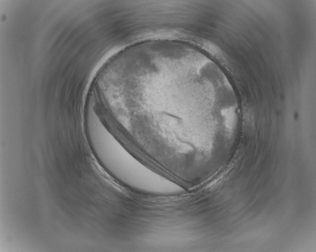 X0000071761232200607282140