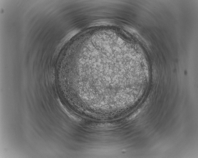 X0000071761233200607282140