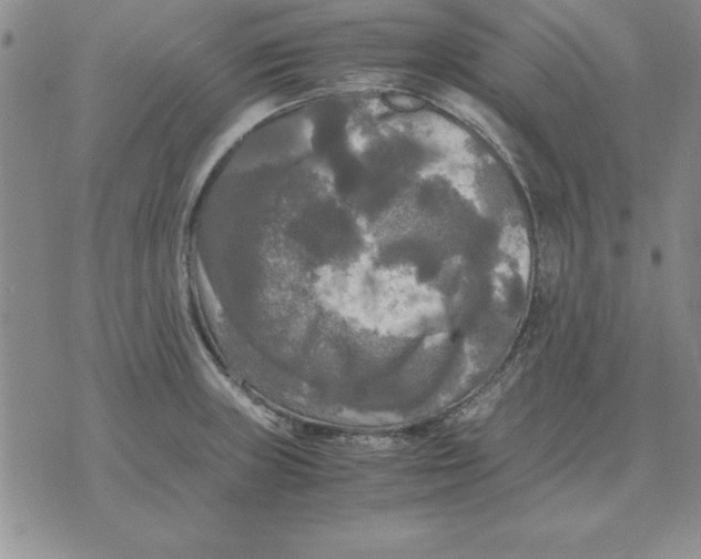 X0000071761235200607282140