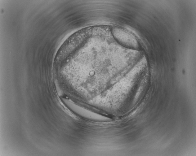 X0000071761236200607282140