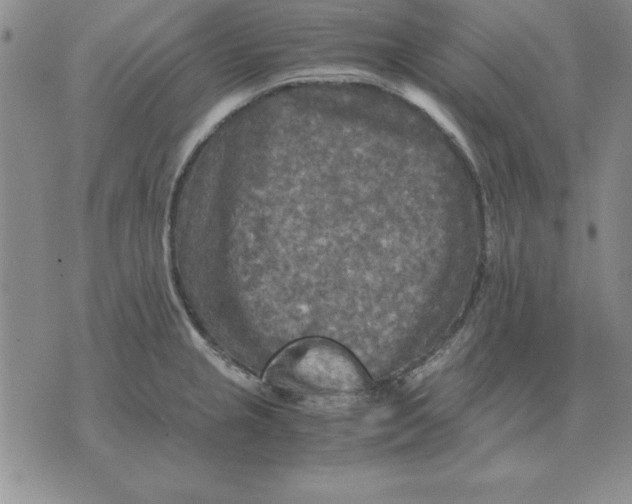 X0000071761237200607282140