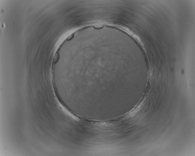 X0000071761239200607282140