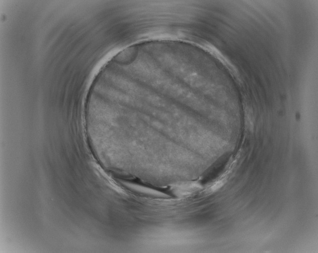 X0000071761240200607282140