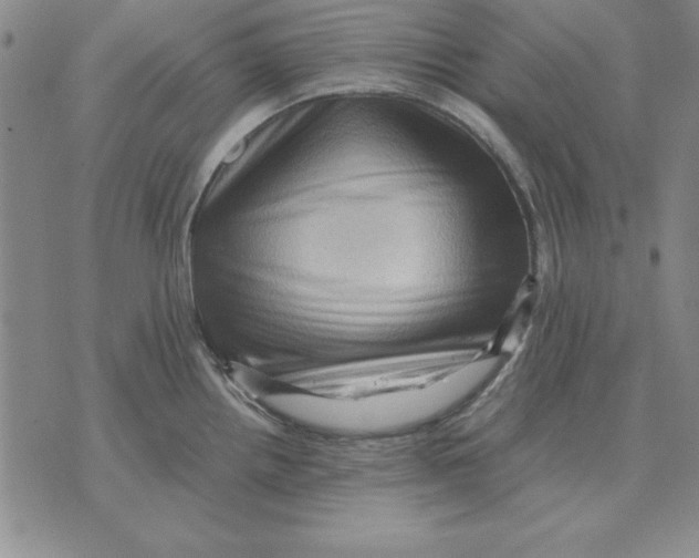 X0000071761242200607282140