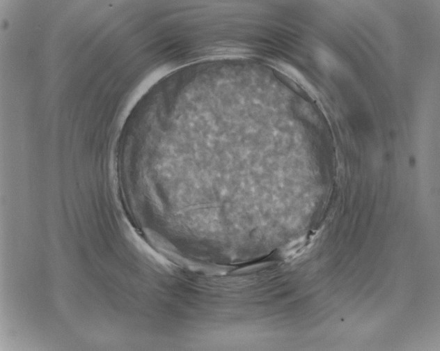 X0000071761243200607282140