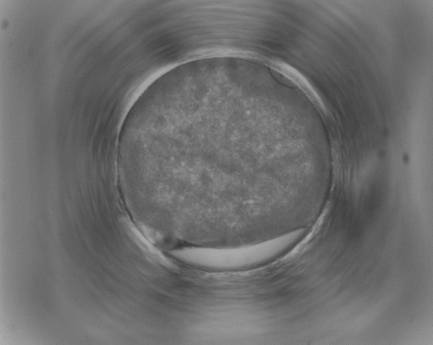 X0000071761244200607282140