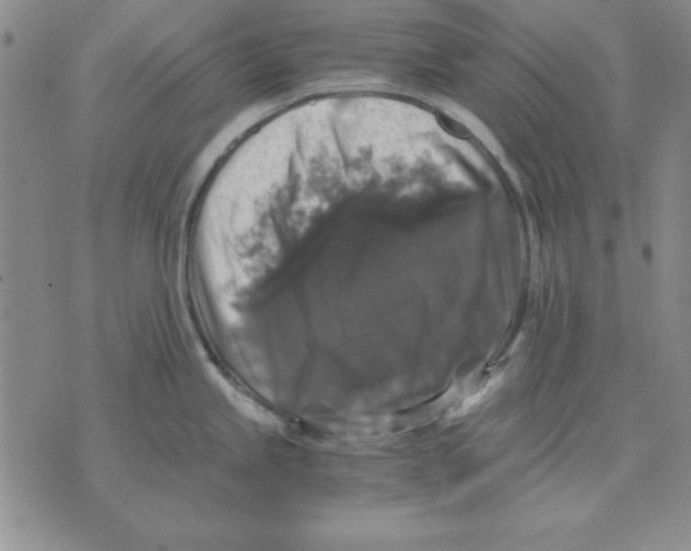 X0000071761245200607282140