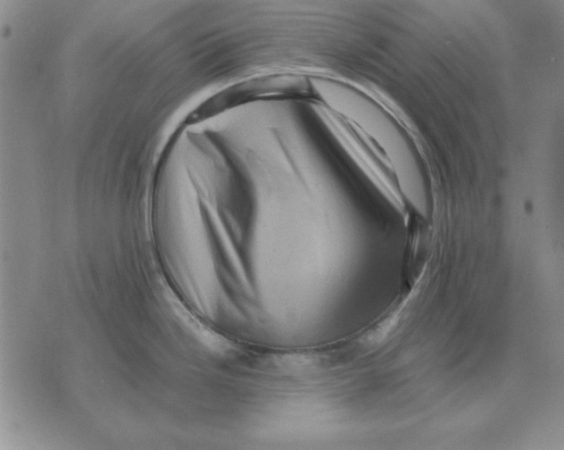 X0000071761246200607282140