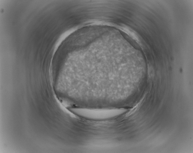 X0000071761247200607282140