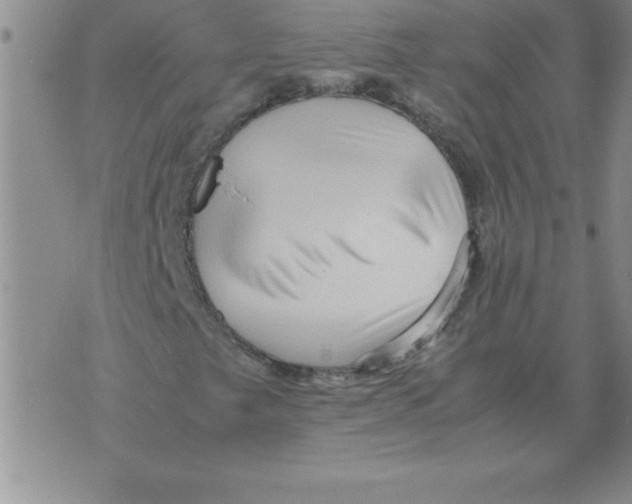 X0000071761249200607282139