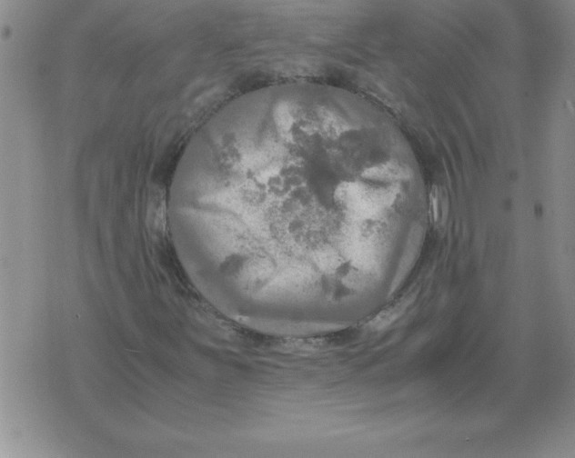 X0000071761251200607282139