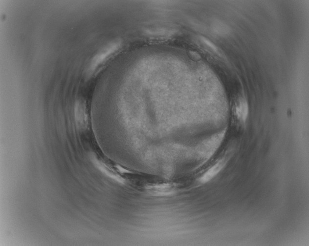 X0000071761252200607282139