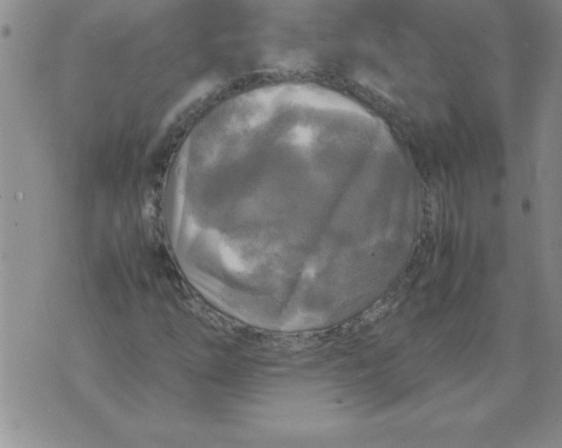 X0000071761254200607282139