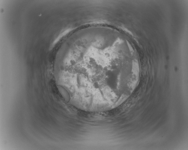 X0000071761255200607282139