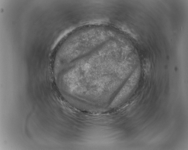 X0000071761256200607282139