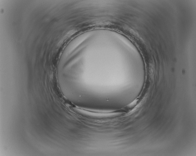 X0000071761257200607282139