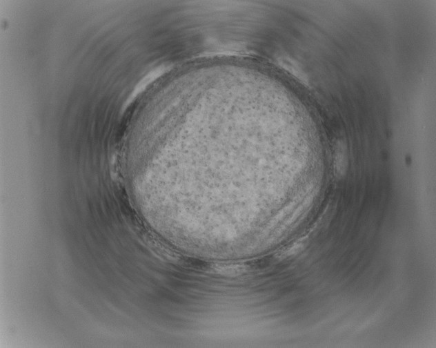 X0000071761258200607282139