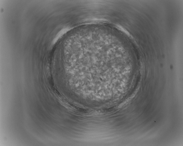 X0000071761259200607282139