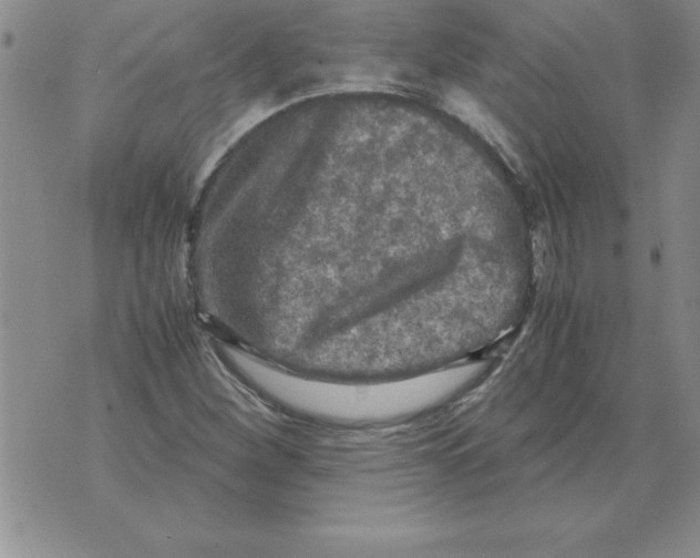 X0000071761260200607282139