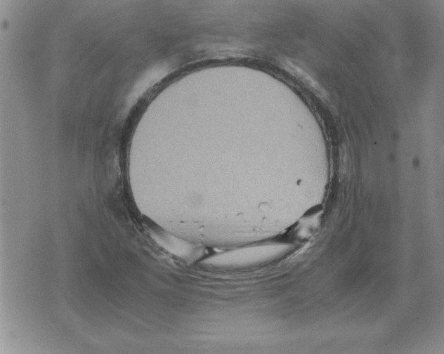 X0000071761261200607282139