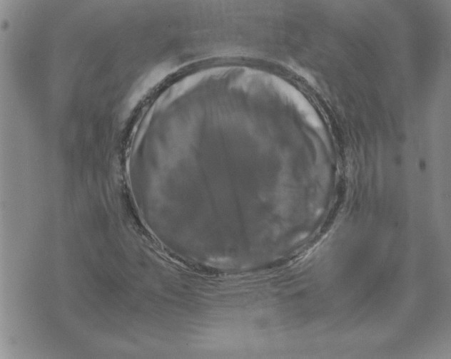 X0000071761263200607282139