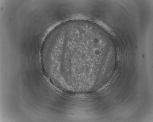 X0000071761264200607282139