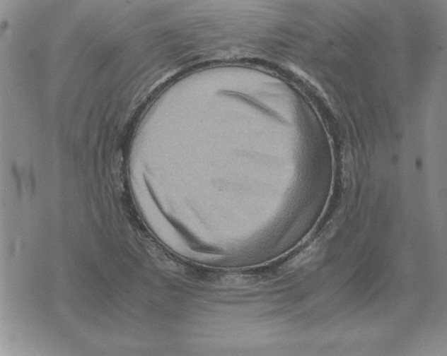 X0000071761265200607282139