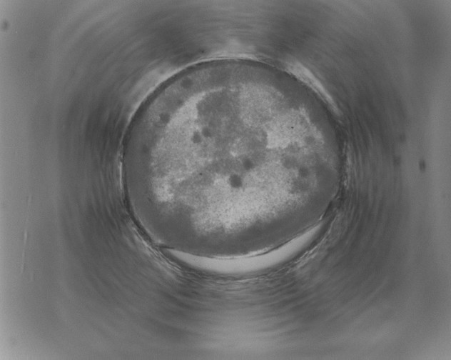 X0000071761268200607282139