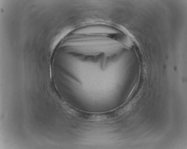 X0000071761269200607282139