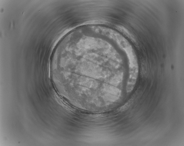 X0000071761276200607282139