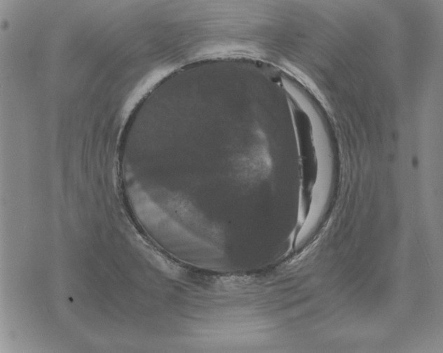 X0000071761277200607282139