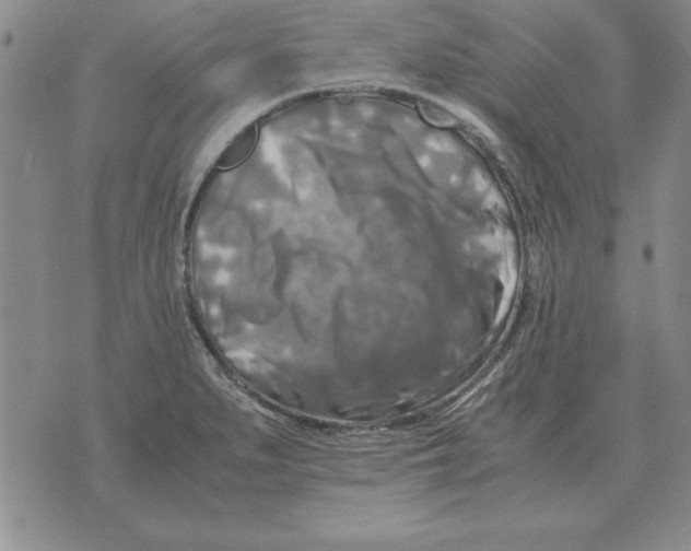 X0000071761279200607282139