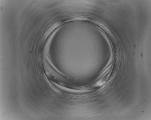 X0000071761281200607282138