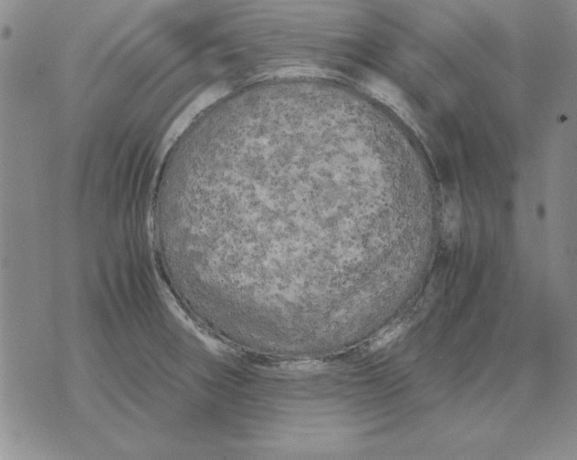 X0000071761282200607282138