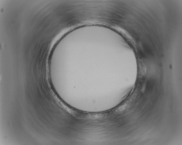 X0000071761286200607282138