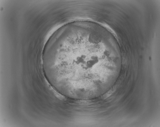 X0000071761287200607282138