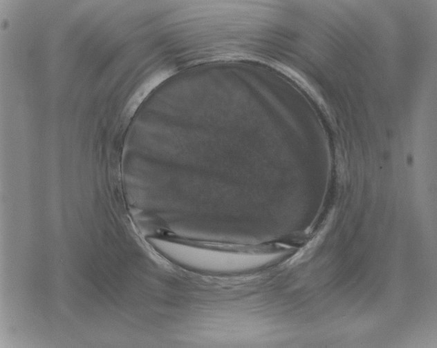 X0000071761289200607282138