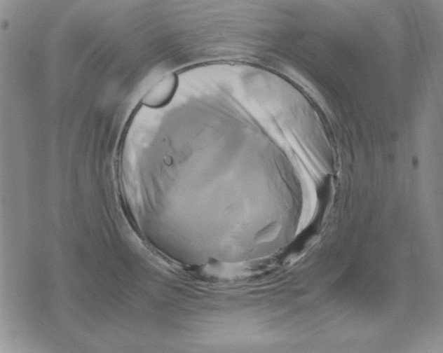 X0000071761291200607282138